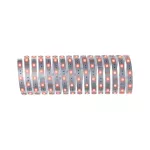PAULMANN MaxLED 250 Strip 5m RGBW IP20 31W 230/24V Srebrny