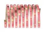 PAULMANN Digital LED Stripe Set 3m RGB 11,8W 230/12V 24 A Białyt Tworzywo sztuczne