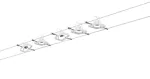 PAULMANN System linkowy Mac II max. 5x10W GU5,3 DIM 230/12V Metal