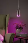 PAULMANN Neordic Lavea lampa wisząca max. 1x15W E27 żelazo szczotkowane 230V metal
