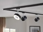 PAULMANN Reflektor na szynoprzewód URail CIRCLE LED DIM 5W 152lm 2700K 230V czarny matowy/ metal