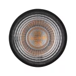 PAULMANN Źródło światła LED GU5,3 DIM 6.5W 445lm 4000K 36st. 12V czarny matowy