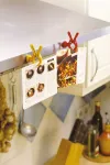 Mini ścisk sprężynowy Wolfcraft Microx XS