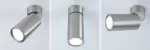 PAULMANN Lampa sufitowa TURNAL COIN LED 3-STEP DIM 6W 470lm 2700K 230V chrom satyna
