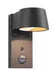 PAULMANN Oprawa elewacyjna CAPEA LED 6W 450lm 2200-3000K czujnik ruchu+zmierzchu IP44 230V antracyt aluminium