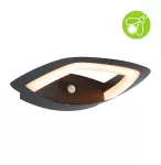 PAULMANN Oprawa elewacyjna AKENA LED PIR 11W 800lm 2200K IP44 230V antracyt aluminium