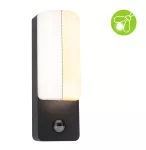 PAULMANN Oprawa elewacyjna BONNIE LED PIR 8.5W 560lm 2200-3000K IP44 230V antracyt aluminium