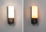 PAULMANN Oprawa elewacyjna BONNIE LED PIR 8.5W 560lm 2200-3000K IP44 230V antracyt aluminium