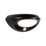 PAULMANN Oprawa elewacyjna SOROVA LED solar PIR 3.5W 220lm 3000K IP44 antracyt tworzywo sztuczne