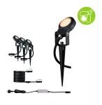 PAULMANN Reflektor ogrodowy Plug & Shine STING LED 3x 6.3W 2200K IP67 24V antracyt/ aluminium