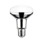 PAULMANN Źródło światła LED R80 E27 10W 800lm 36st. 4000K 230V szkło / srebrny
