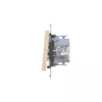 SIMON 55 WMDL-0102xx-144 Łącznik jednobiegunowy (moduł) 10 AX, 250 V~, szybkozłącza; Szampański mat