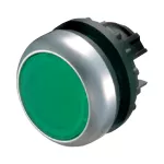 M22-D-G przycisk płaski z samopowrotem zielony
