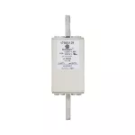 170M3139 FUSE 63A 1250V 1*/110 AR CU