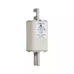 170M3139 FUSE 63A 1250V 1*/110 AR CU
