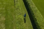 60V Nożyce do żywopłotu na wysięgniku 51cm GD60PHT