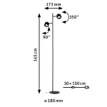 PAULMANN Lampa podłogowa PURIC PANE LED 2x3W 3-STEP DIM 2300lm 2700K 230V czarny / metal