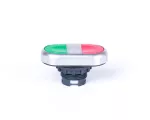 Ex9P1 DI gr Dwukolorowy przycisk z główkami, z samopowrotem, bez nadruku, możliwość podświetlenia, zielony+czerwony