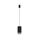 PAULMANN Urail wisząca lampa Corus max.1x50W E27 Czarna mat 230V Metal/Plastic