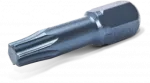 Bity TORX 10 3szt blister