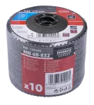 Ściernica listkowa talerzowa 125 gr.120 flat