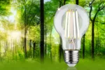 Źródło światła LED AGL 60 2.5W 525lm E27 3000K 230V przezroczysty / szkło