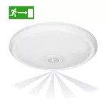 ZONDA LED EMERGENCY 12W/1,2W, plafon z czujnikiem ruchu, 800lm/80lm, IP20, 4000K, poliwęglan mleczny, biały