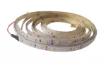 LED STRIP MEDIUM 2835 IP20 CW 5m Taśma LED samoprzylepna na krążku