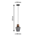 PAULMANN Neordic Edla Lampa wisząca max. 1x20W E27 230V Szkło przydymione/Korek