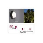 PAULMANN Oprawa elewacyjna IKOSEA LED 4.4W 350lm czujnik ruchu 3000K 230V antracyt / tworzywo sztuczne