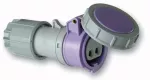 Gniazdo przenośne TWIST 24V 16 A 24V/~50/60Hz 2P IP67