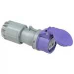 Gniazdo przenośne niskonapięciowe 32A 2P 24V 50/60Hz IP44, styki niklowane
