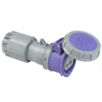 Gniazdo przenośne niskonapięciowe 32A 2P 24V 50/60Hz IP67, styki niklowane