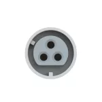 Gniazdo stałe 32A 2P+Z 24/42V DC 10h IP44, styki niklowane