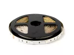 LED line Taśma 150 SMD 24V RGB 7,2W