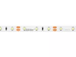 LED line Taśma 300 SMD 12V 6500K 4,8W