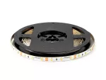 LED line Taśma 300 SMD 12V 6500K 4,8W