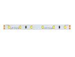 LED line Taśma 300 SMD 24V 4000K 4,8W