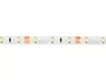 LED line Taśma 300 SMD 12V 6500K 4,8W IP65