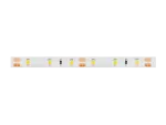 LED line Taśma 300 SMD 12V 6500K 4,8W IP65
