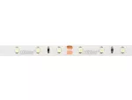 LED line Taśma 300 SMD 24V 6500K 4,8W IP65