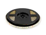LED line Taśma 300 SMD 24V 6500K 4,8W IP65