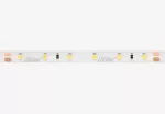 LED line Taśma 300 SMD 24V 11000K 4,8W IP65