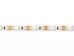 LED line Taśma 600 SMD 12V 11000K 9,6W