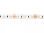 LED line Taśma 300 SMD 12V 3000-6500K 9,6W MULTIWHITE