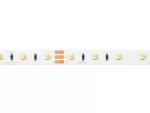 LED line Taśma 300 SMD 24V 3000-6500K 9,6W MULTIWHITE