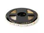 LED line Taśma 300 SMD 24V 3000-6500K 9,6W MULTIWHITE