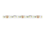 LED line Taśma 600 SMD 24V 6000K 14,4W