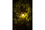 GIRLANDA OGRODOWA 10m, AC220-240V, 50-60Hz,10xE27, 2x0,75mm