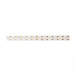 Taśma LED COB 810 15W/m RGB 12V IP20/5m/P